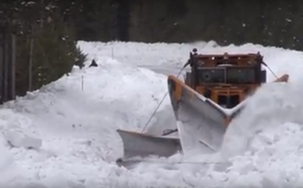 Yellowstone roads begin opening for motorists this week