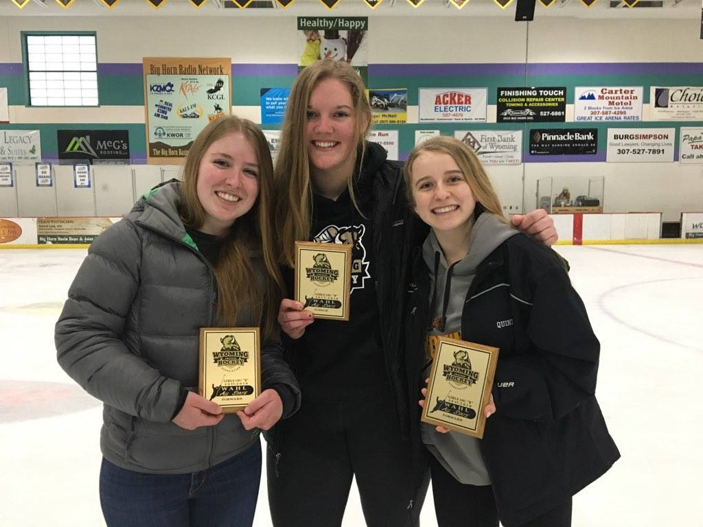Lady Moose bring home state title in hockey