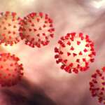 COVID-19 in Teton County: What you need to know