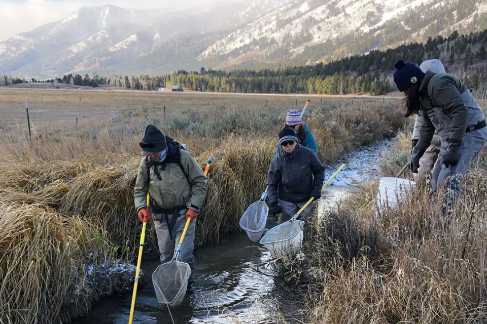 Trout Unlimited to host "Tie One On" Banquet benefiting native trout