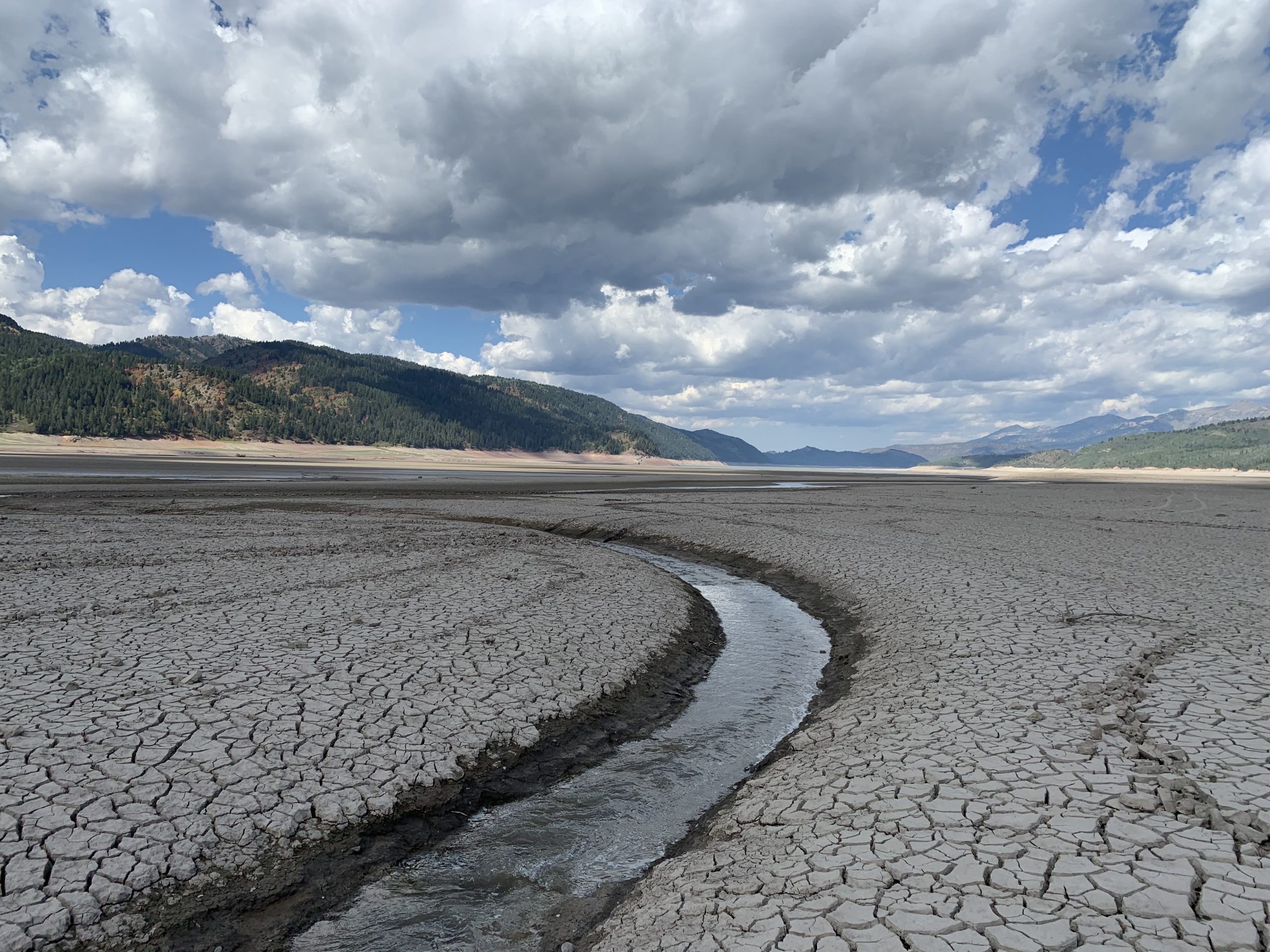 In drought-stricken West, officials weigh emergency actions