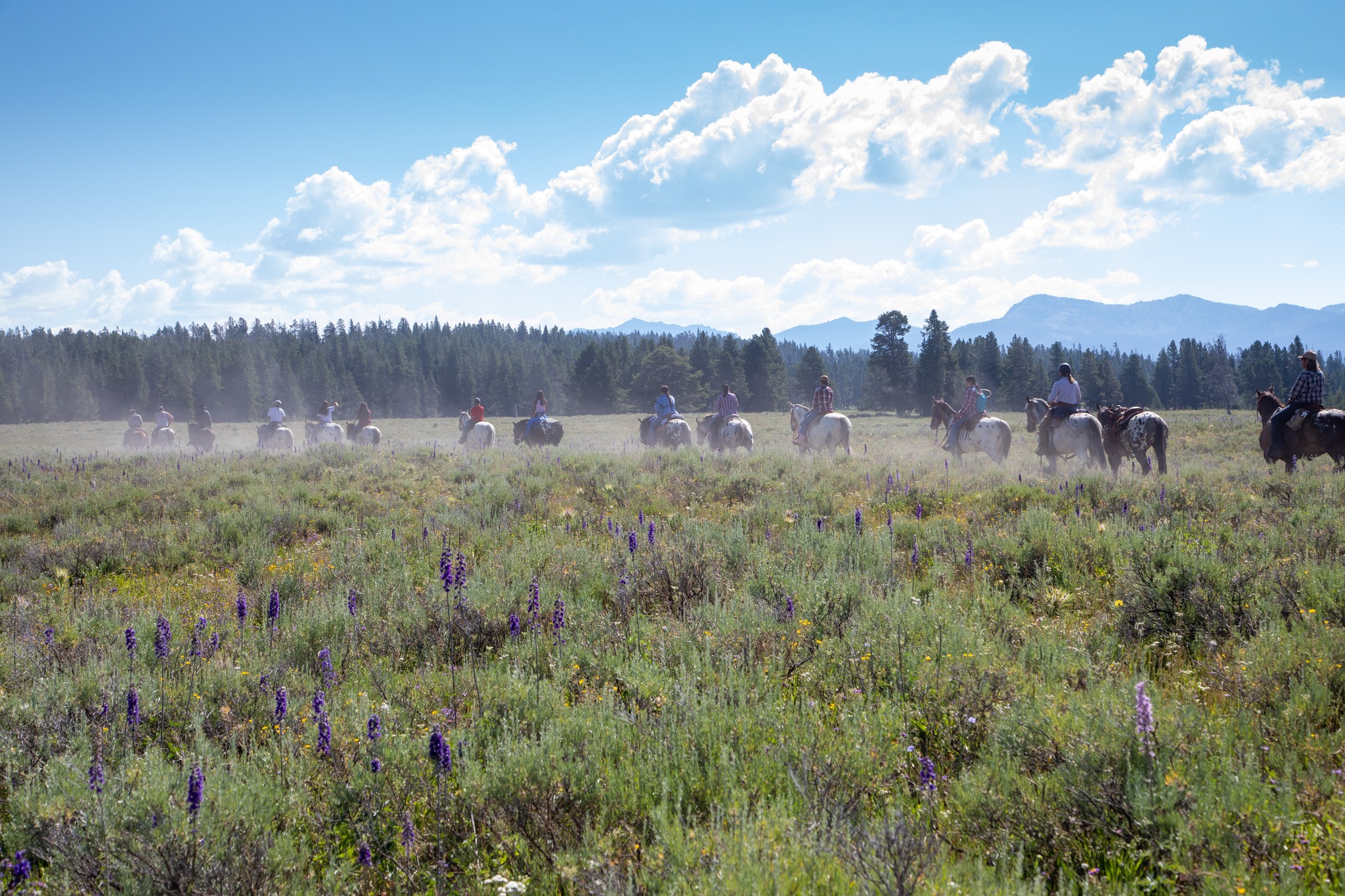 145 years later, Nez Perce Appaloosa Horse Club rides section of Nez
