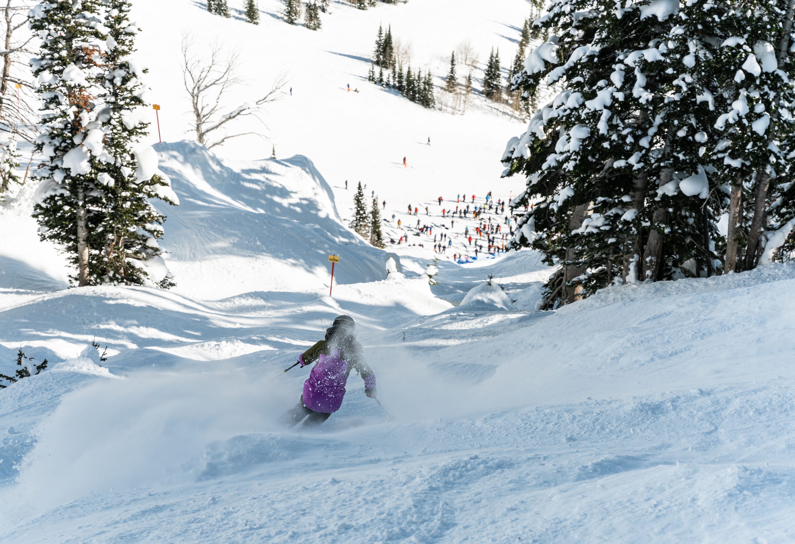 Strong local showing at this weekend's IFSA Junior Freeride Competition