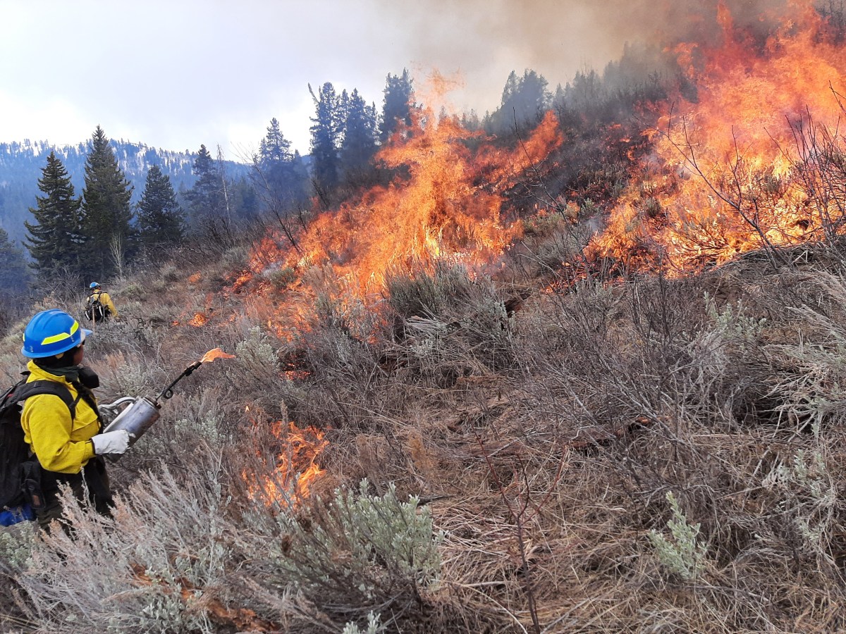 Planned prescribed fire on Greys River District may start as early as next week