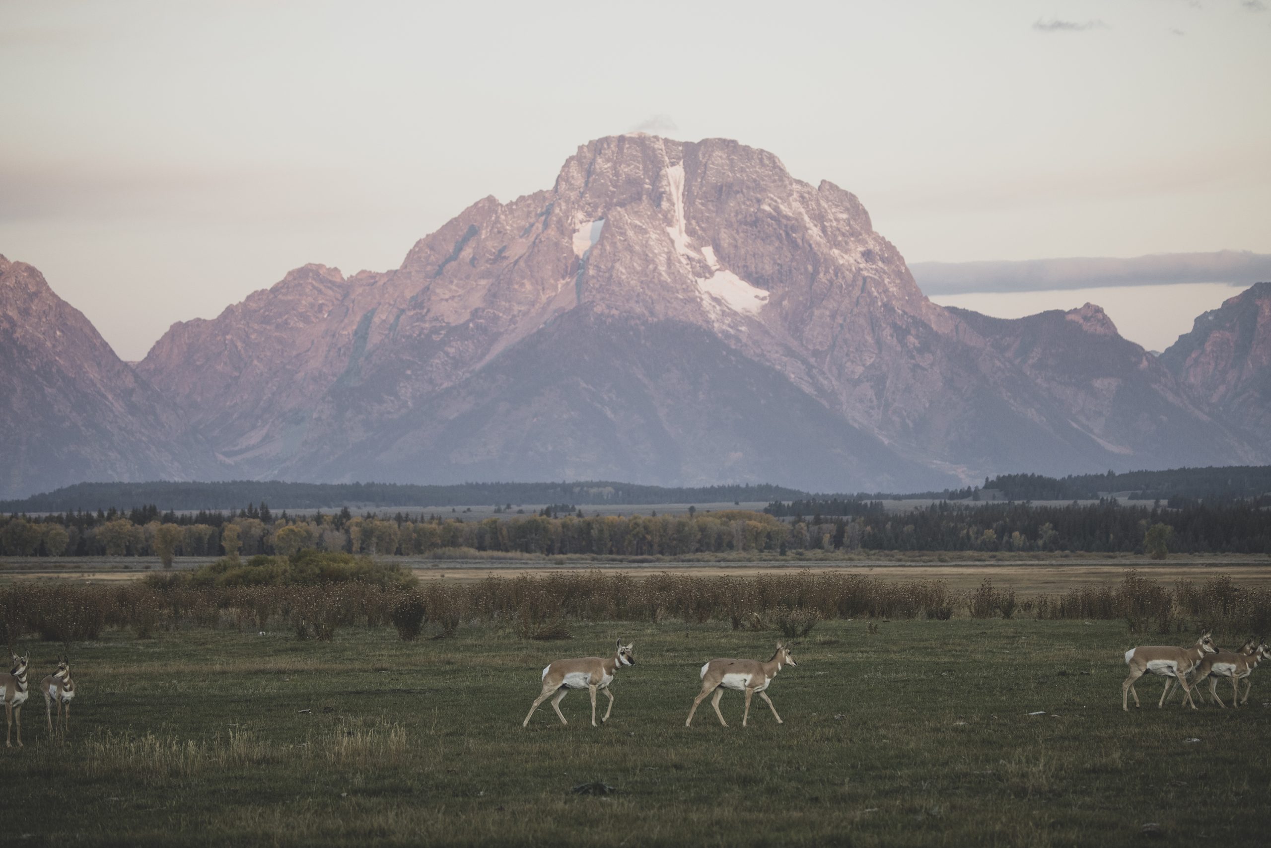 51509468814_37f5bff488_o-