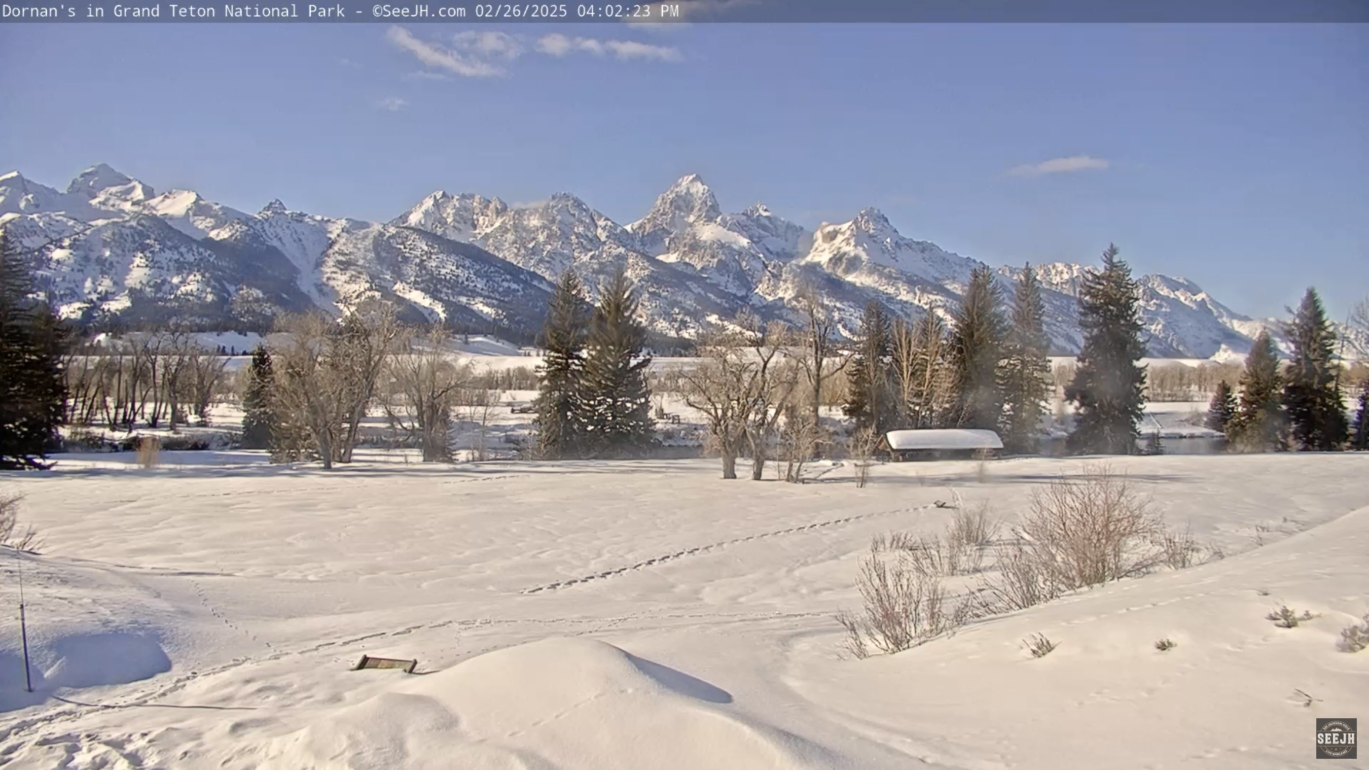 Recap of a mild, wet, snowy February and a look-ahead to March