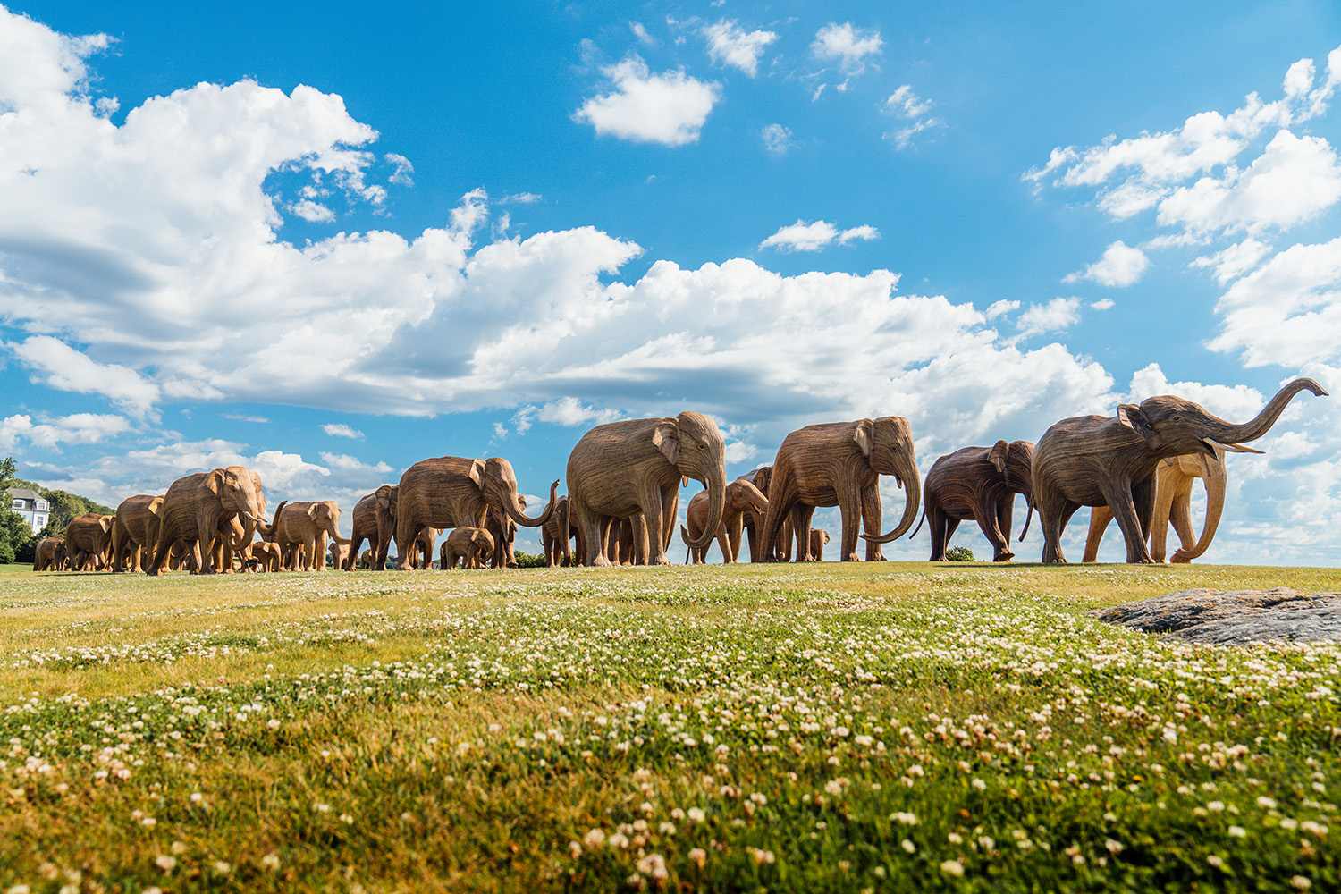 Great Elephant Migration' sculptures visit Natl. Museum of